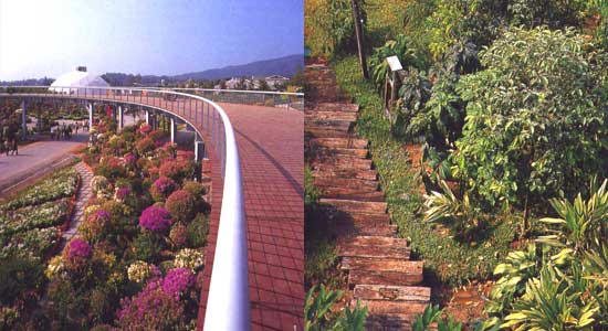 �ͻ���ѵԾת�ǹ�� �������Դ�����õ� ����ǹ�������