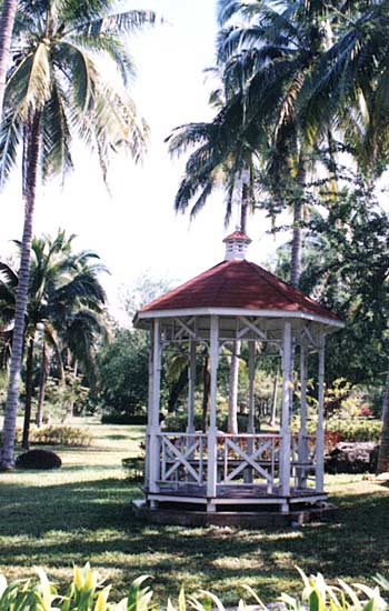 American Dream New Style