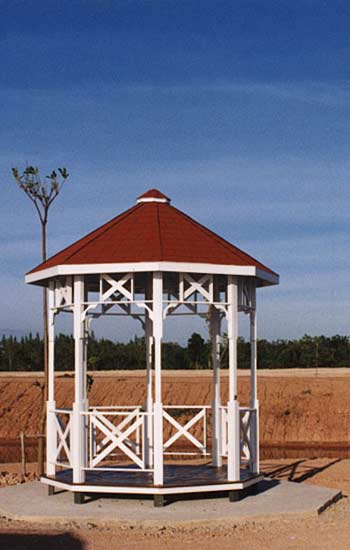 American Dream New Style