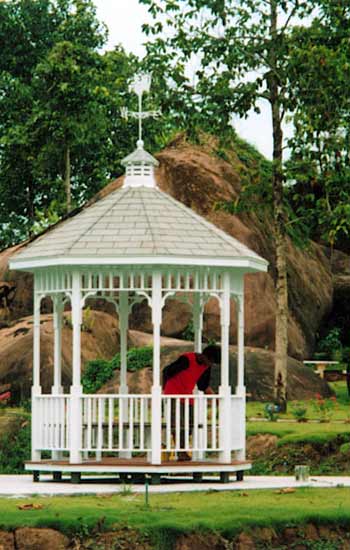 American Dream Special