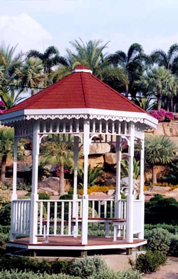 American Dream Special